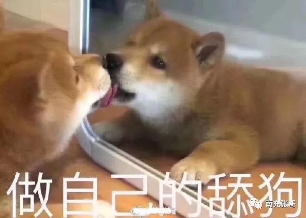 105503hfafxza8safxftfj.jpg