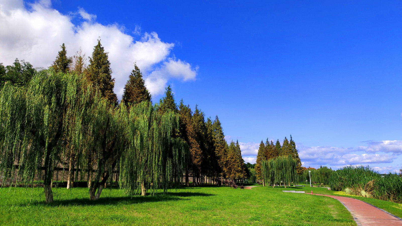 160404xcojheg3pheea05r.jpg