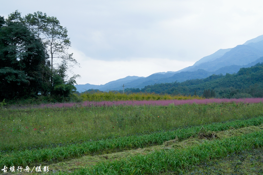 拾光山丘、向峨石花村41.jpg