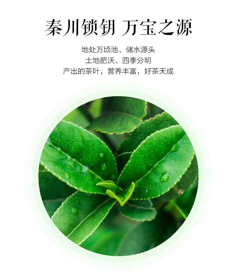 cb3e48f0e579ebfb.jpg