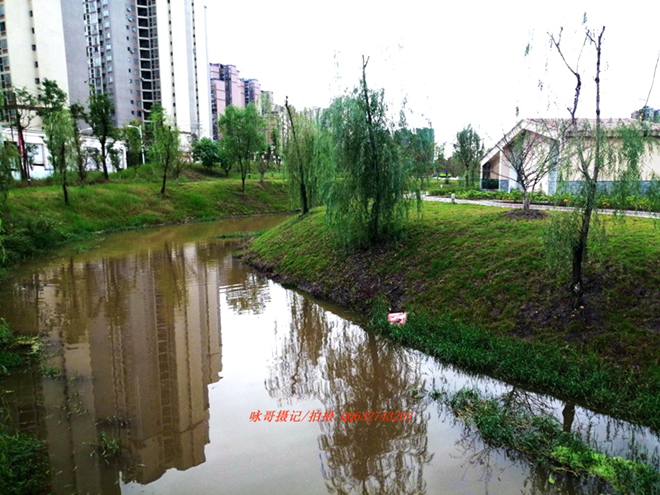 IMG_20191011_171016.jpg