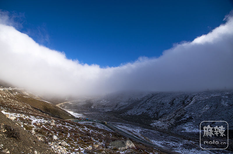 _MG_3673.jpg