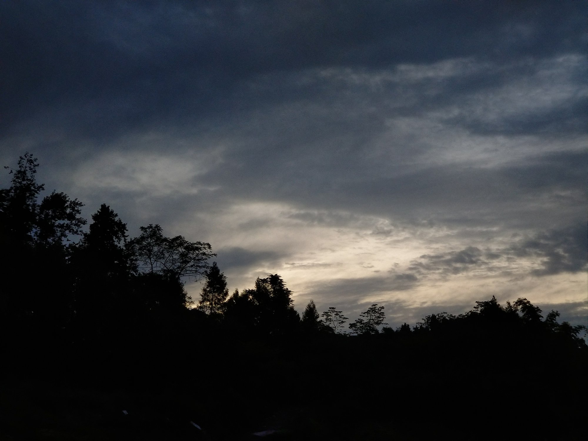 P90712-201507.jpg