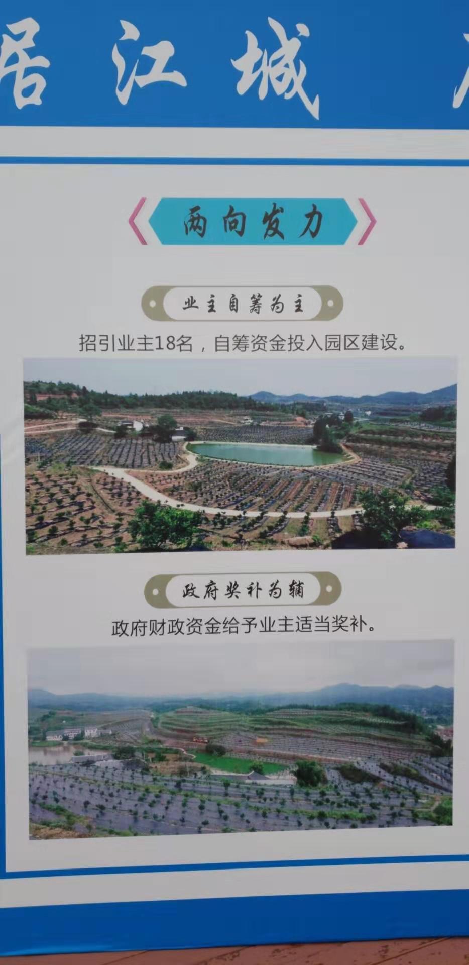 微信图片_20191027174144.jpg