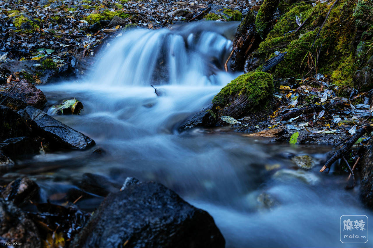 _DSC2207 - 副本.jpg