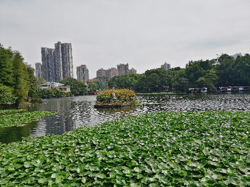 IMG_20191030_114442.jpg