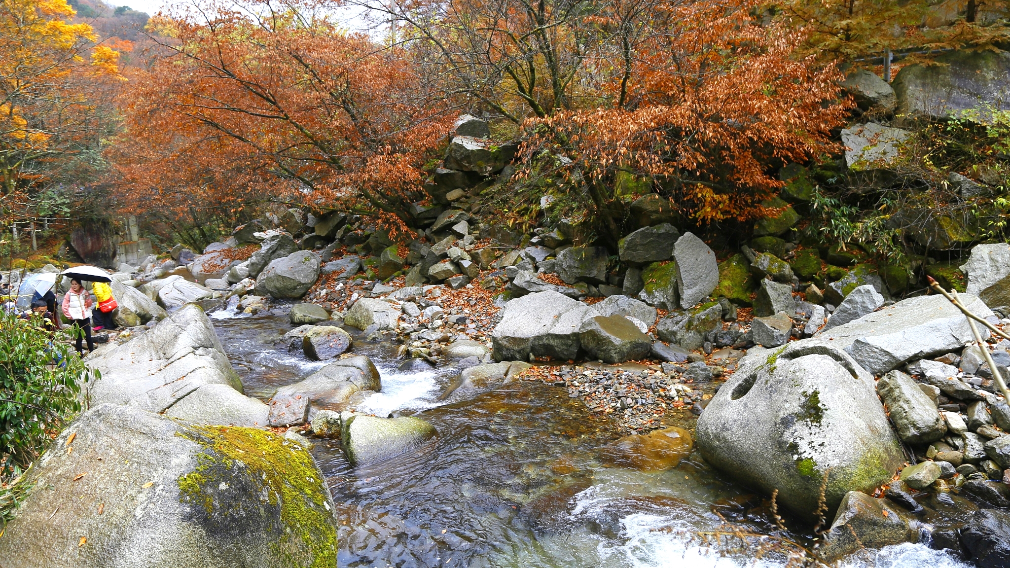 _MG_0293_ͼ.jpg