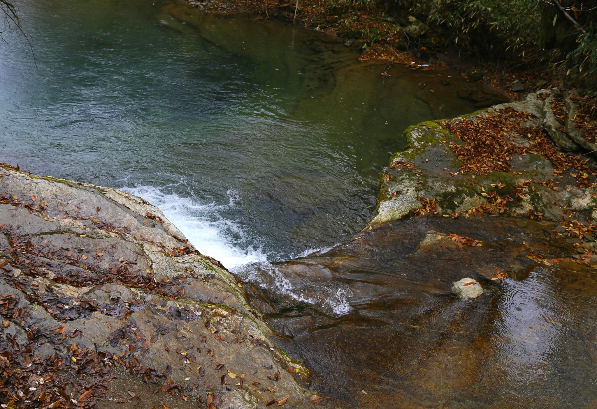 _MG_0273_ͼ.jpg