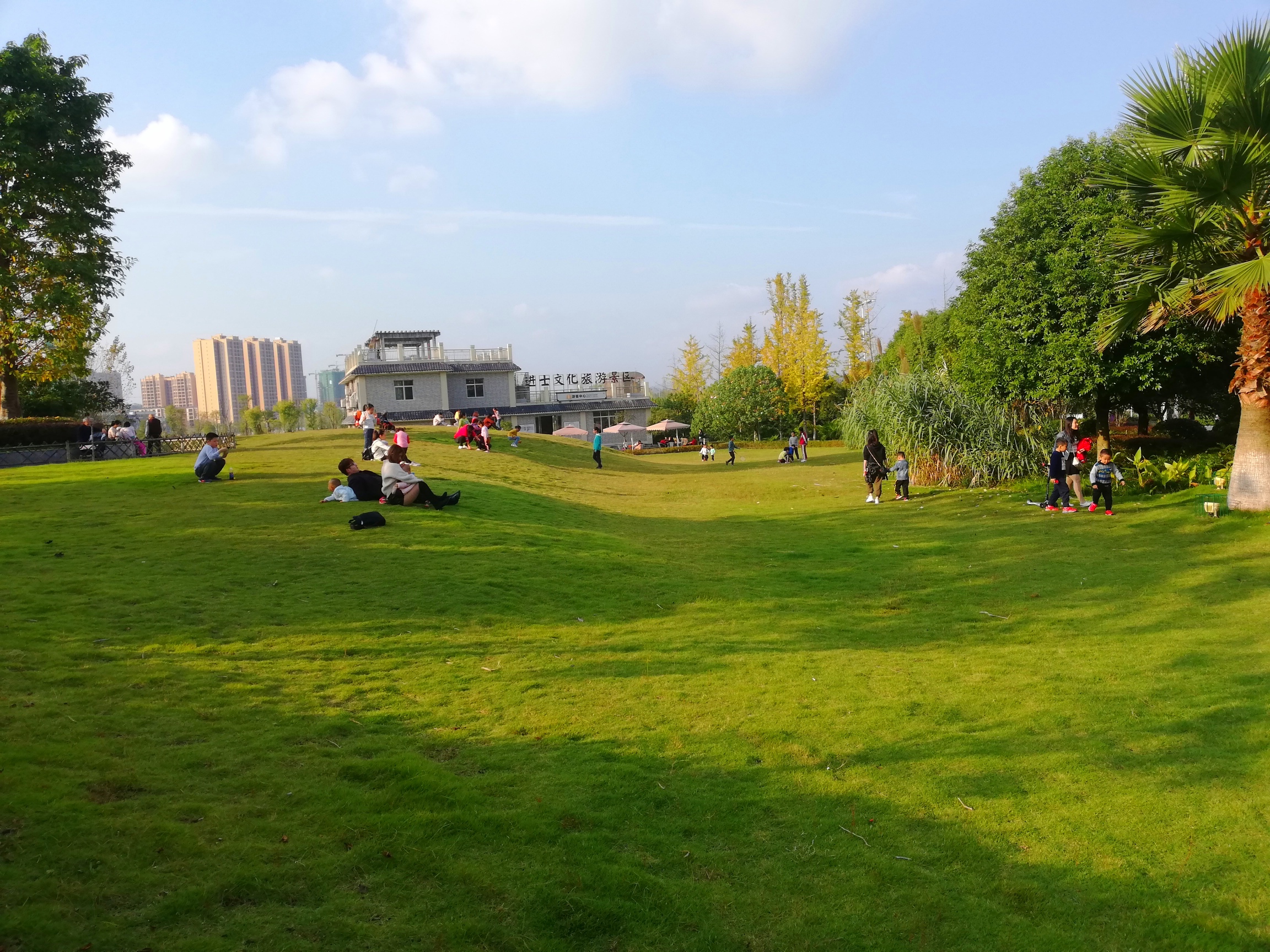 IMG_20191103_170549.jpg