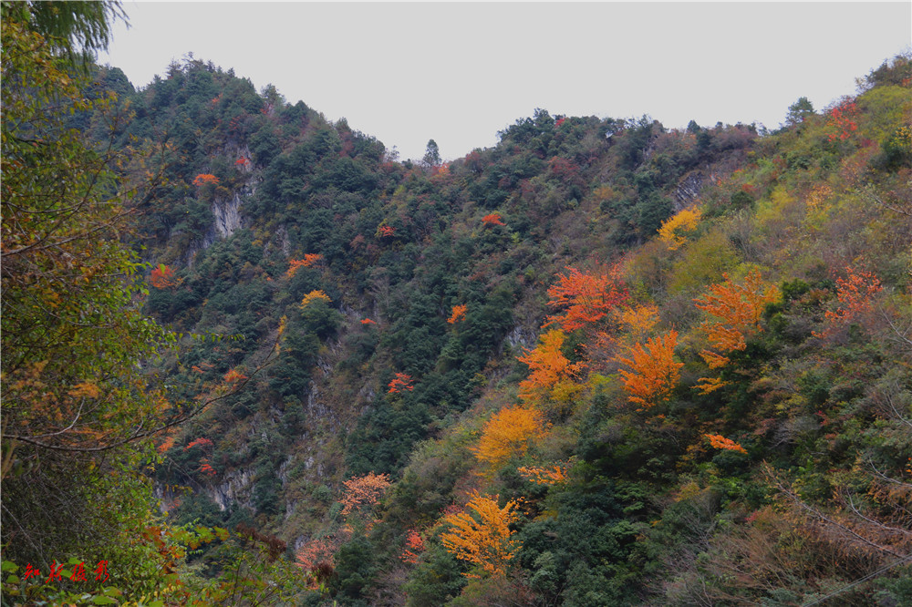 141306cst09nnozo9kkctc.jpg