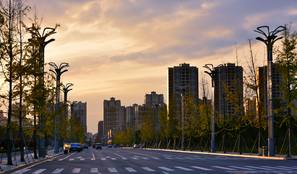 103630lm39ak66mg33rwgr.jpg