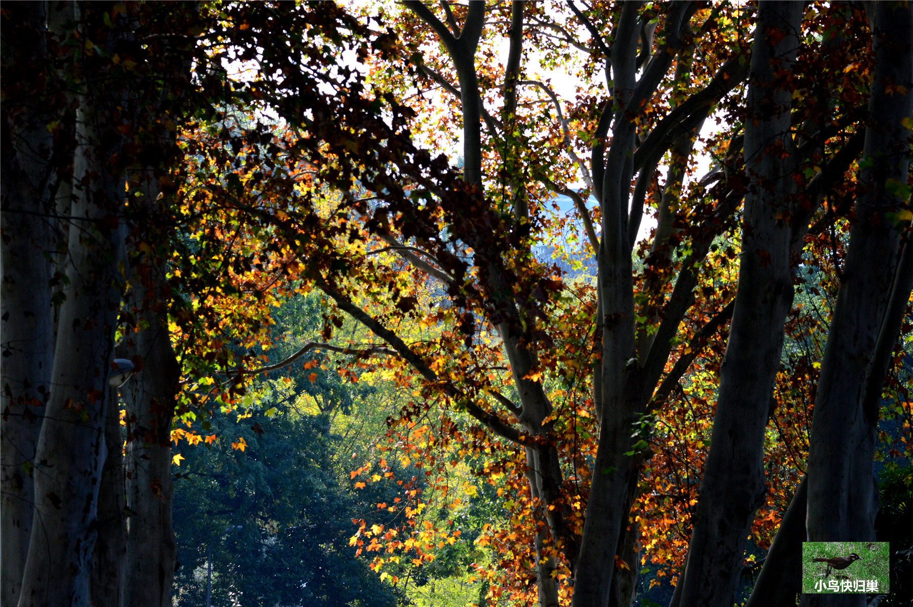 DSC_0096.JPG