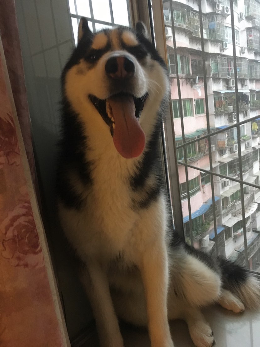 212125n16mn1te869e9011.jpeg
