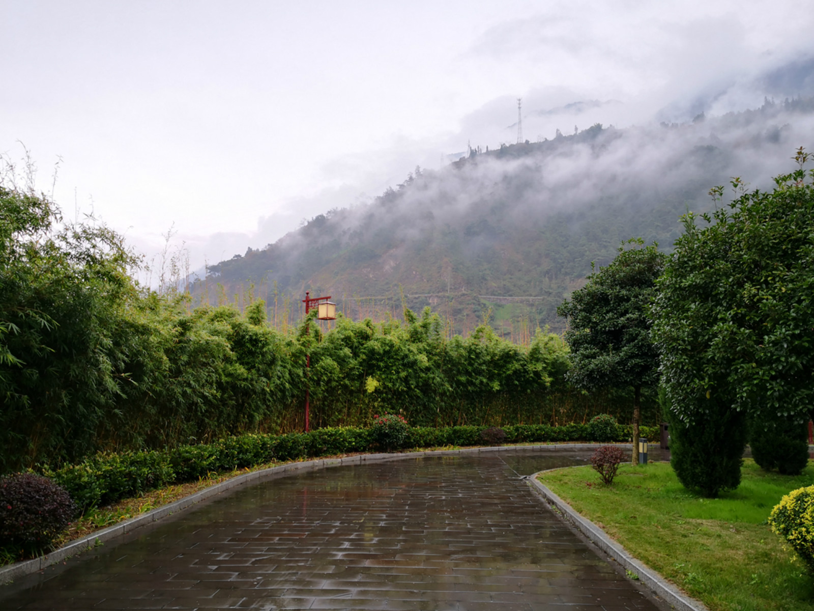 201104am42hdh9rakarmd2.jpg