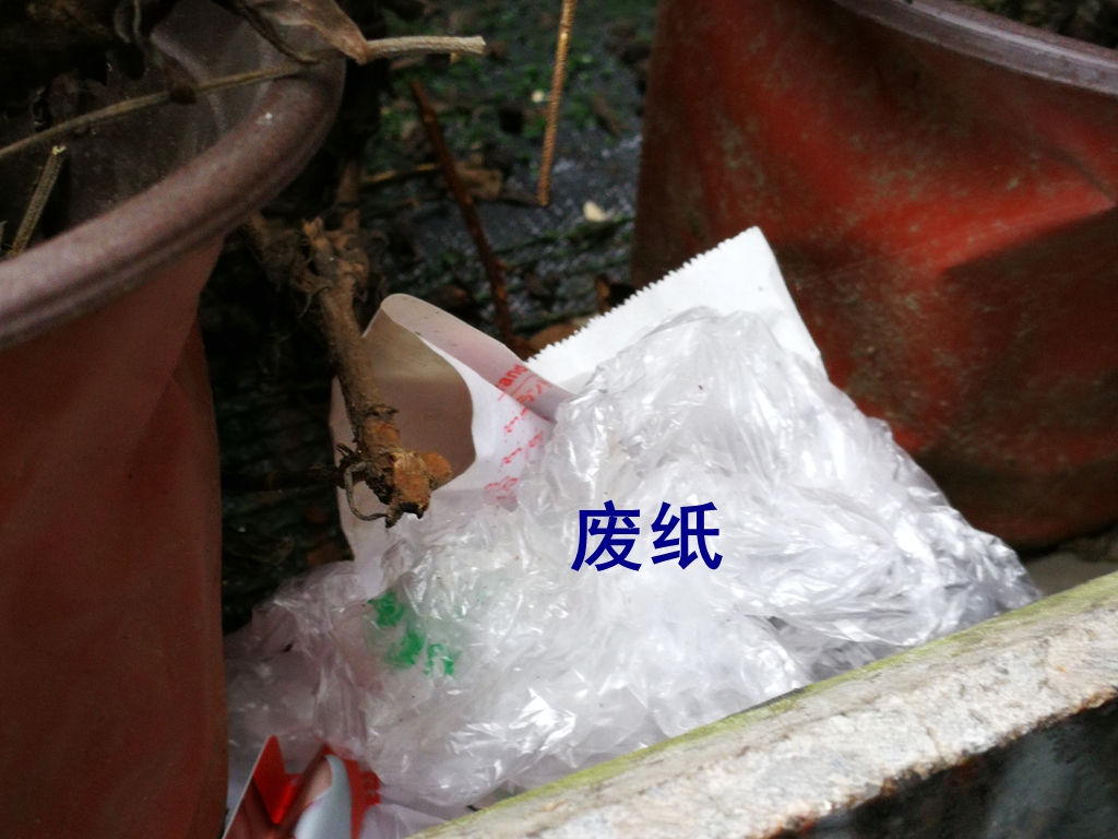 223817ajthlphaglogpe9f.jpg
