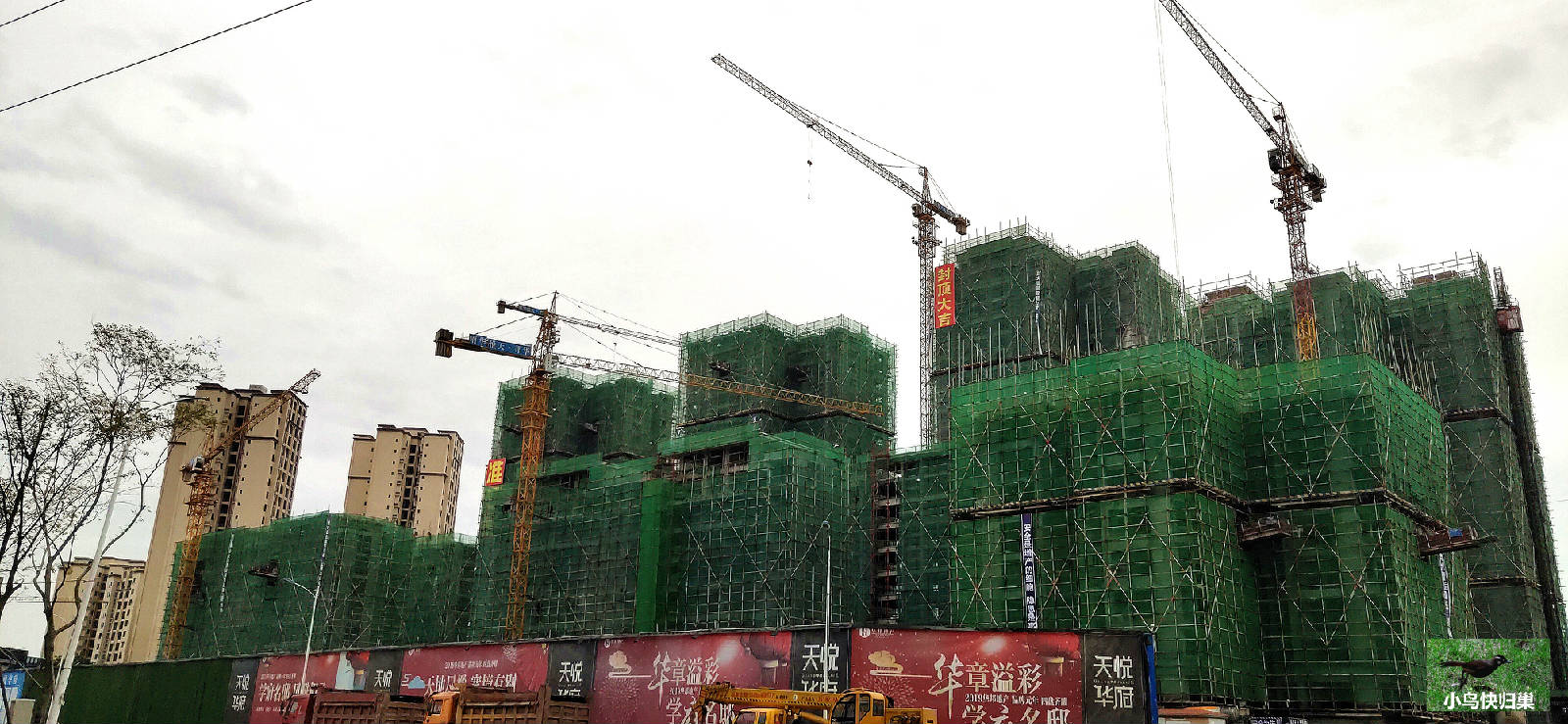 微信图片_20191117171503.jpg