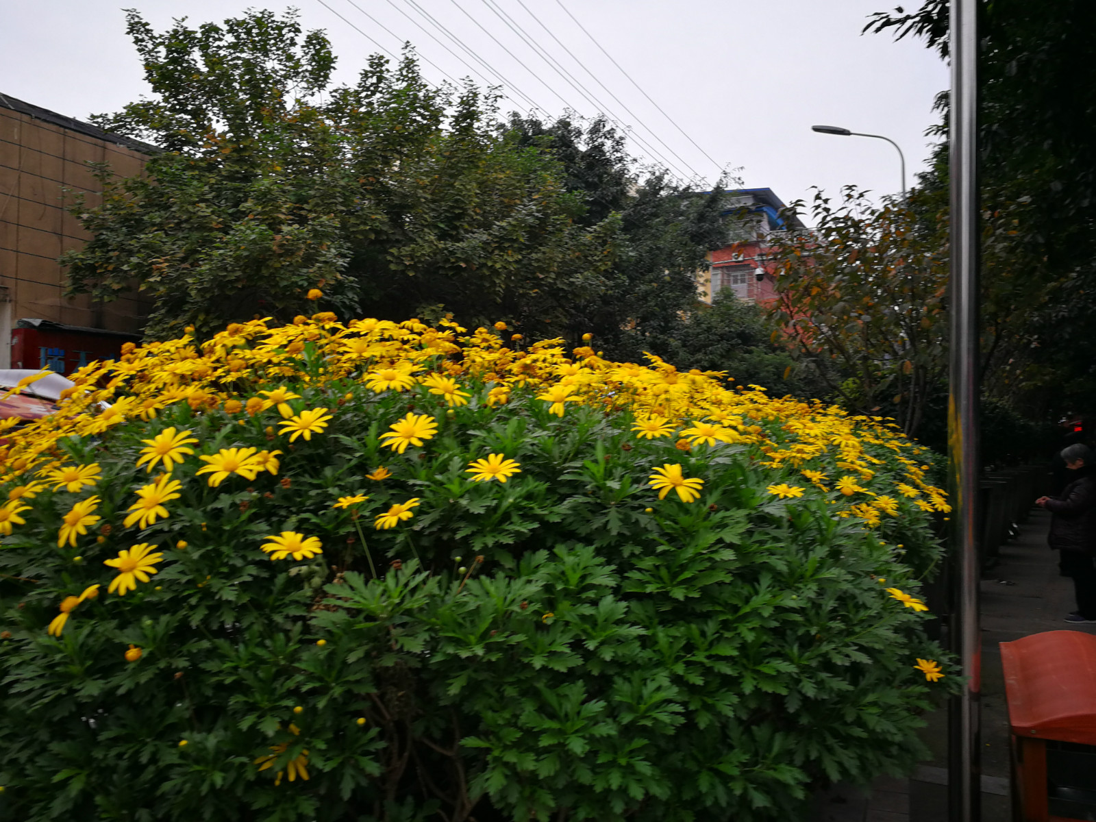 084629vlfzjy018nd7qf8c.jpg