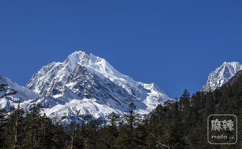 _MG_3920.jpg
