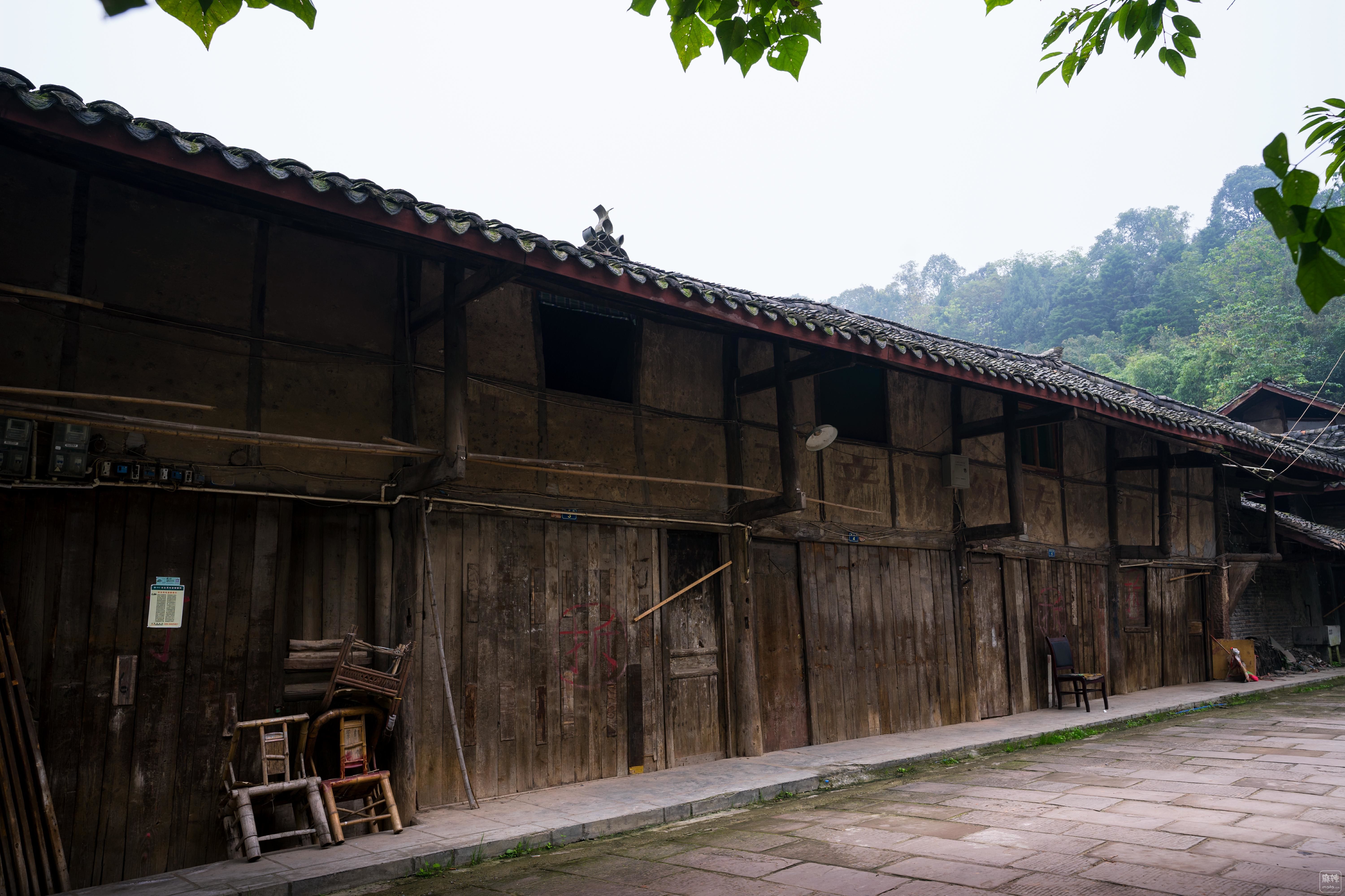 DSC09870.00.jpg
