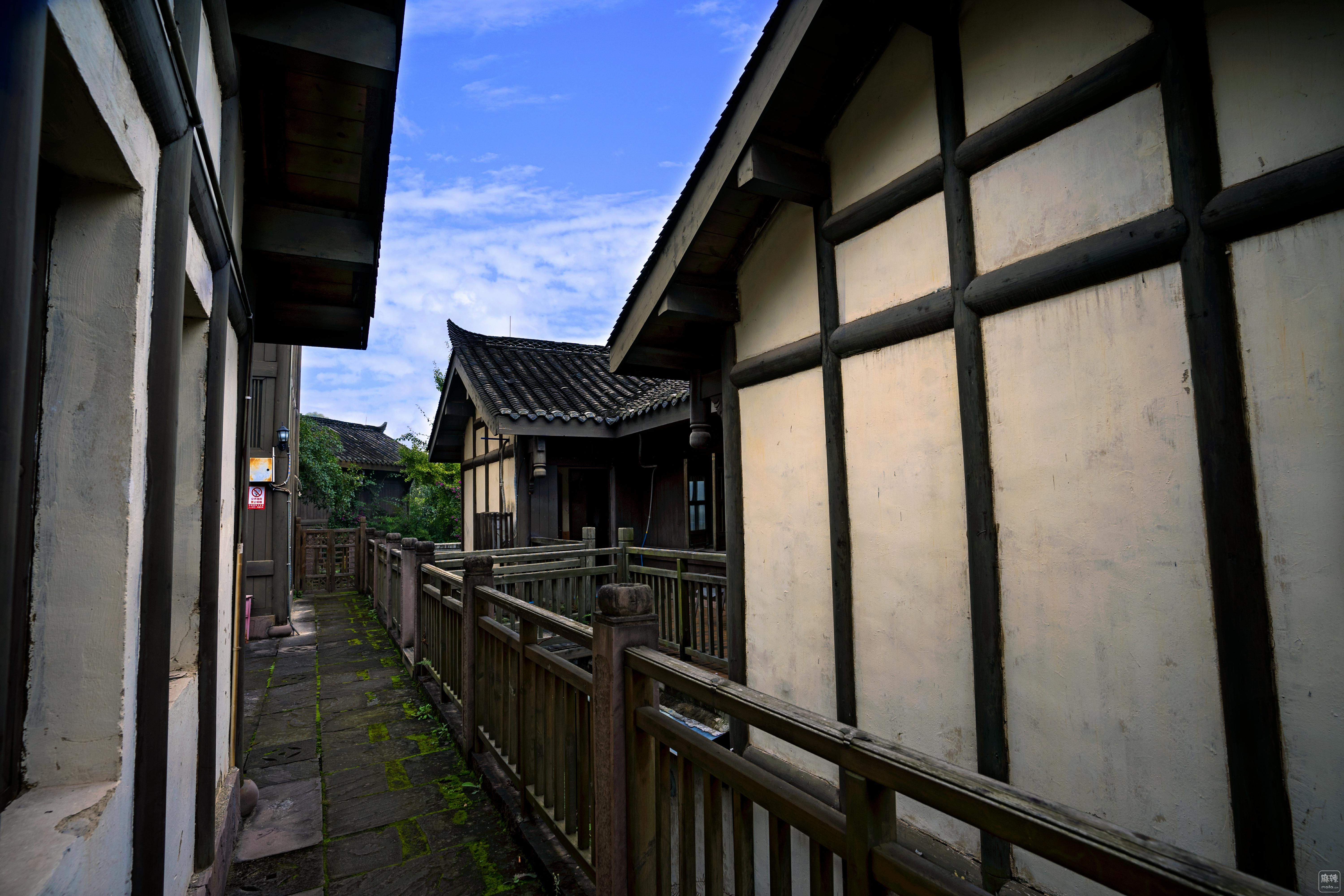 DSC09891.00.jpg