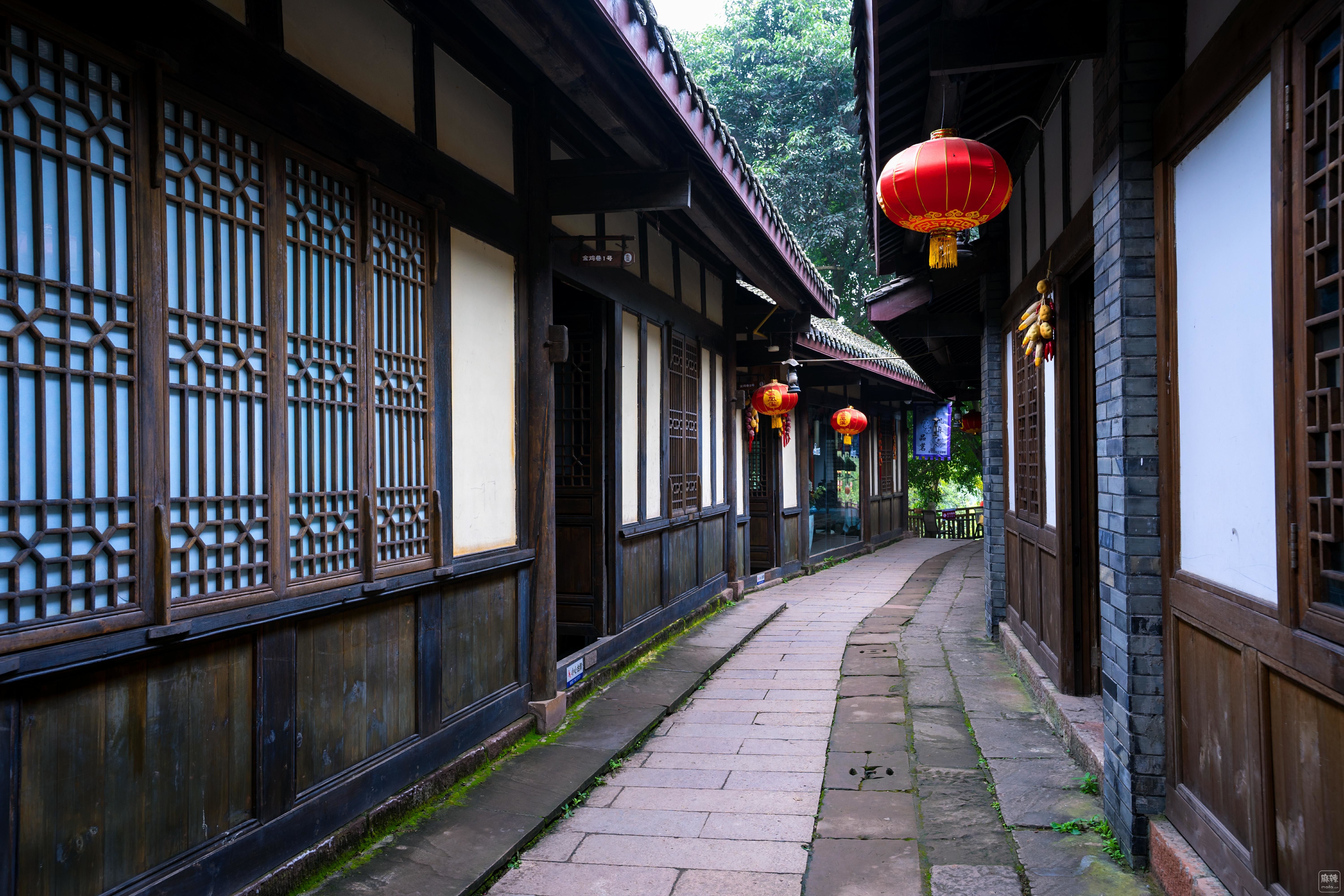 DSC09904.00.jpg