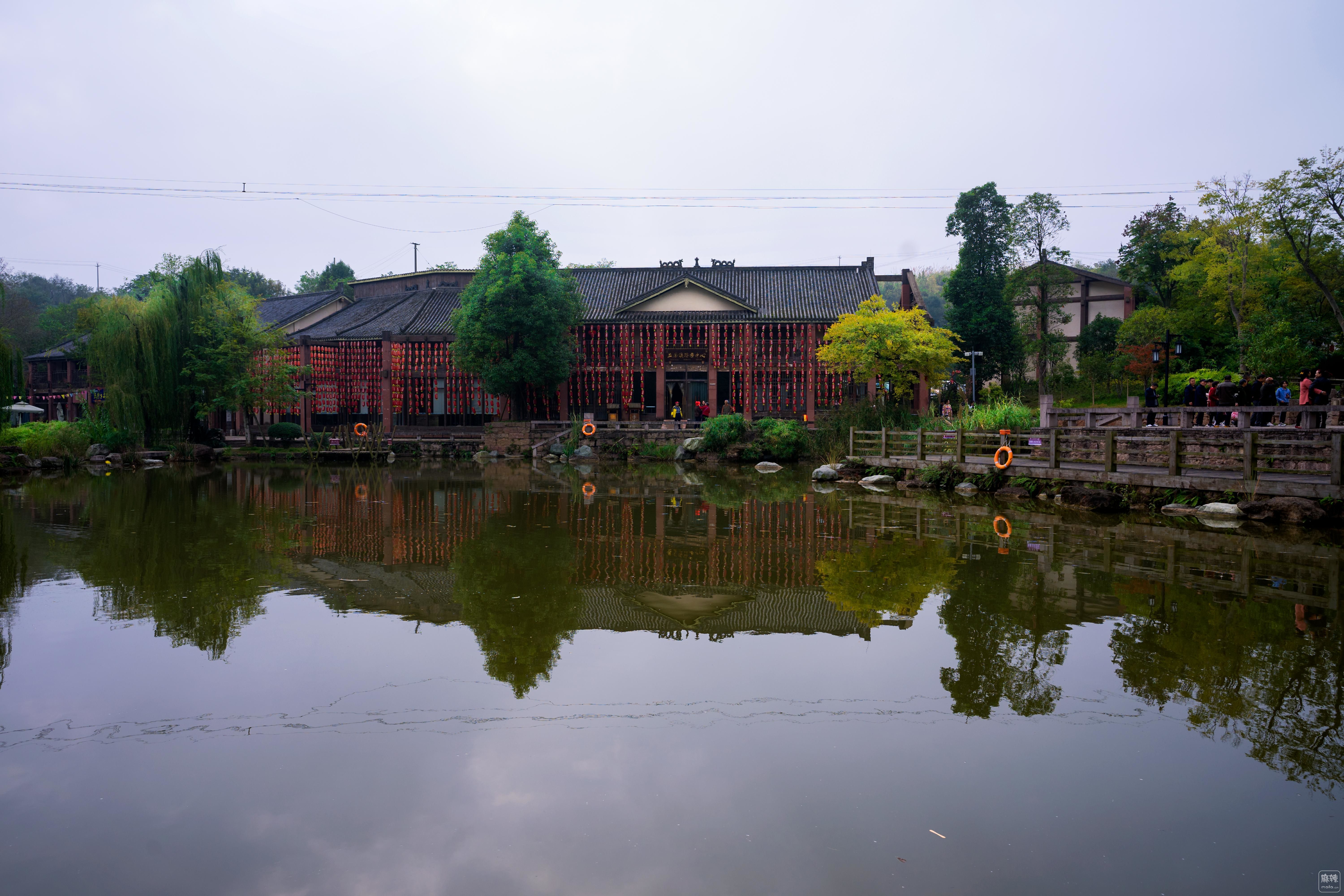 DSC09910.00.jpg