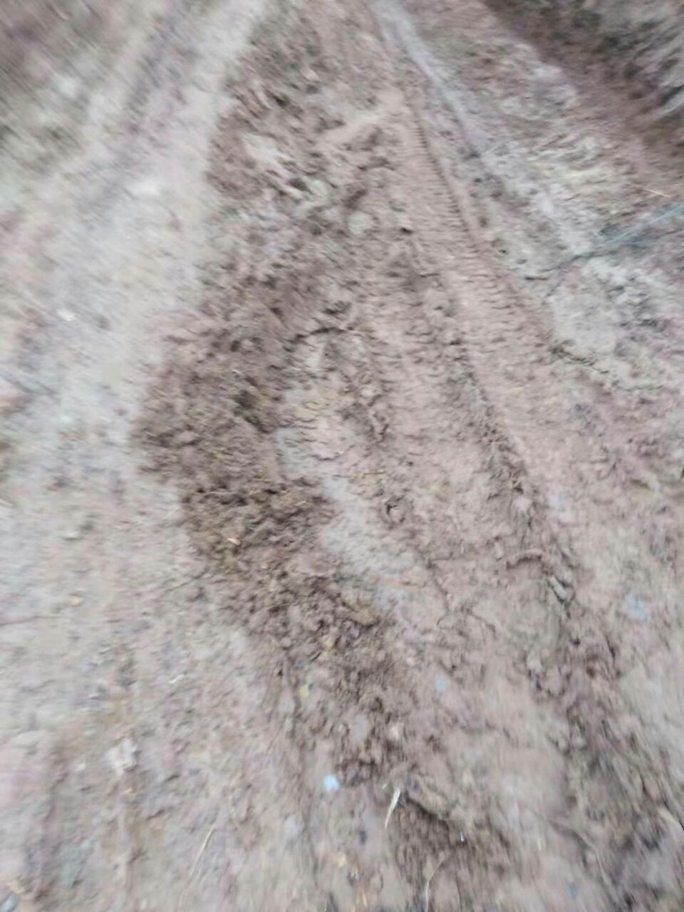 20191127_7079034_1574817926846.jpg