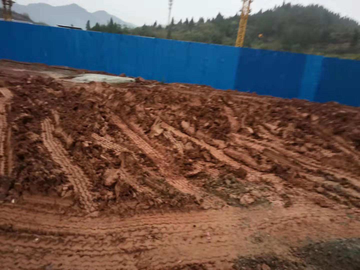 Ѷ_20191129_105652.jpg