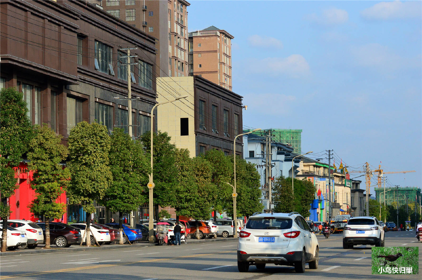 DSC_0012.JPG