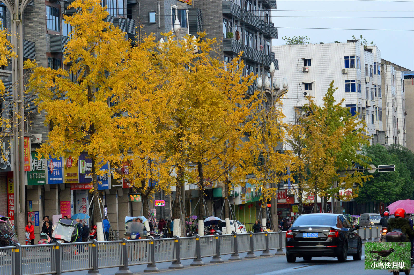 DSC_0103.JPG