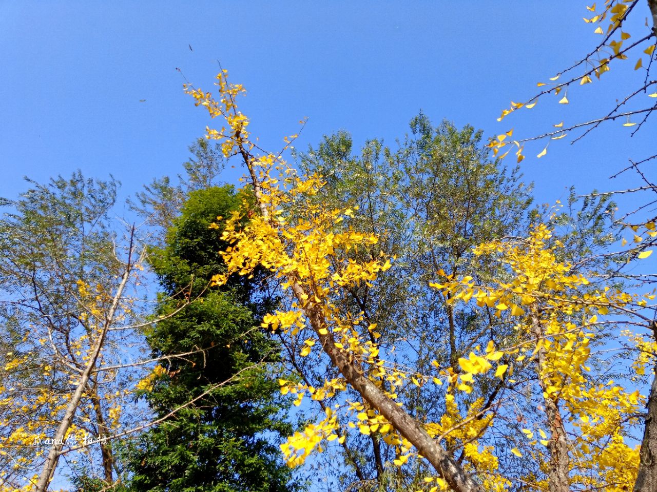 20191202_7461717_1575247735609.jpg