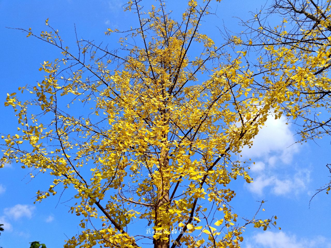20191202_7461717_1575247791964.jpg