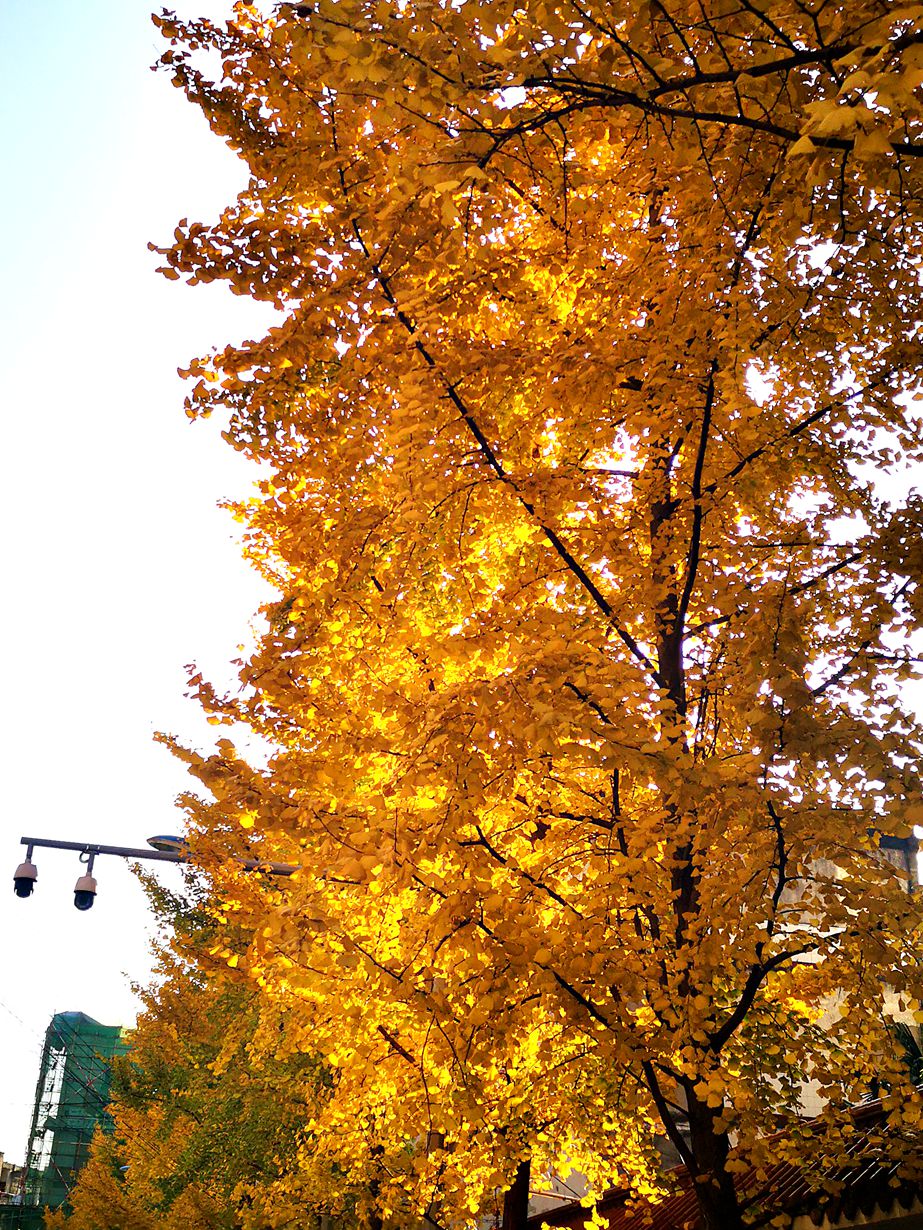 094311nsqqgb5dsuzsmgp9.jpg