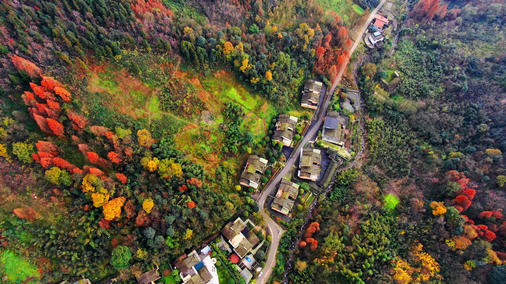 都江堰青城外山图片