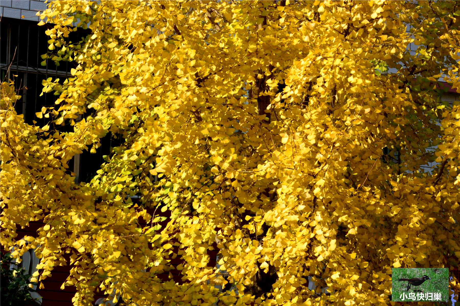 DSC_0012.JPG