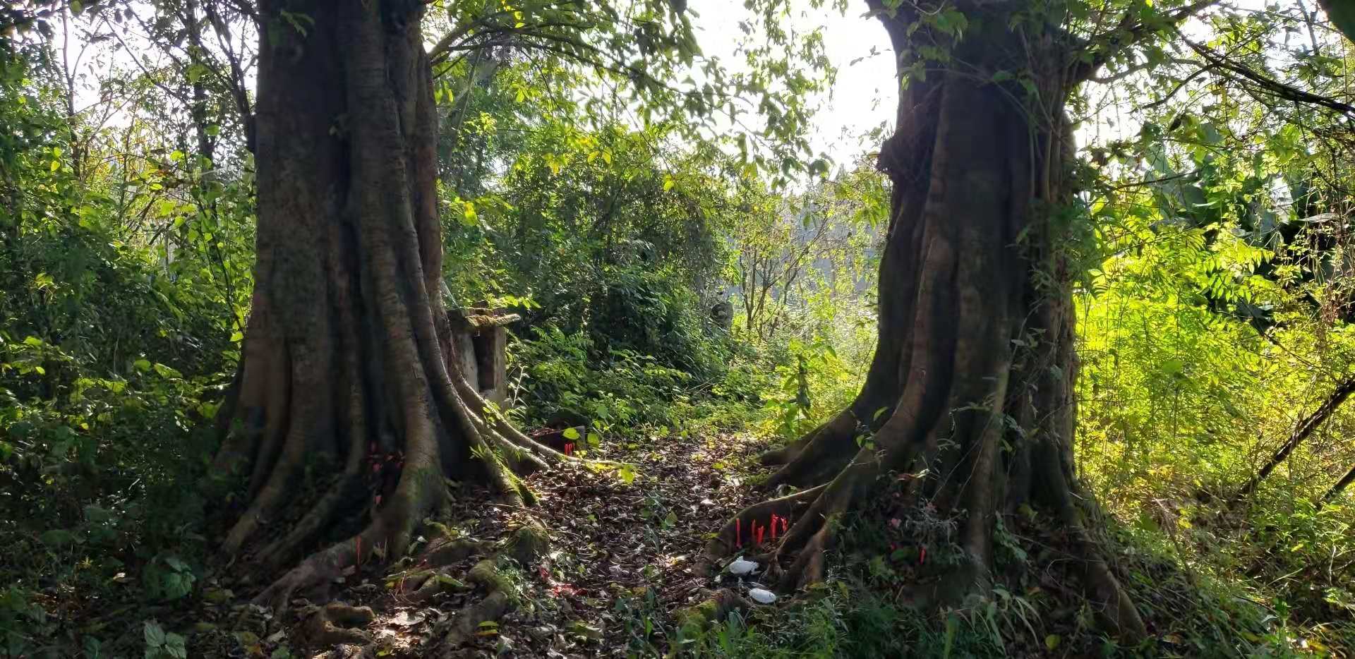 金線吊葫蘆,風水寶地:關於蓬安中華崇慶寺的那些神奇的傳說