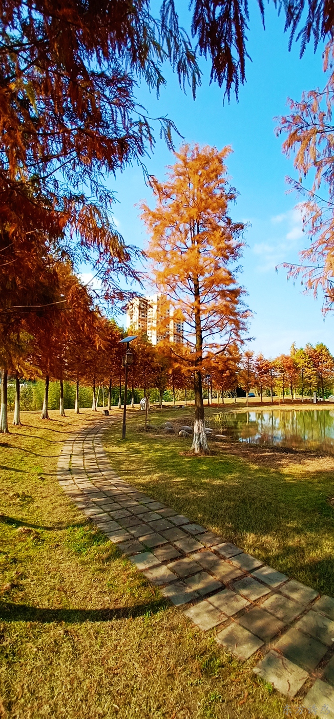 220108h277zjjjo3qwo2ko.jpg