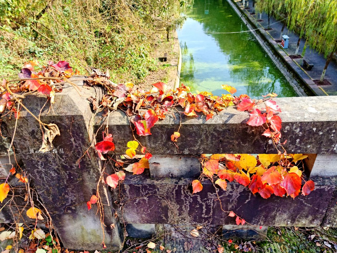 20191203_7461717_1575308347952.jpg