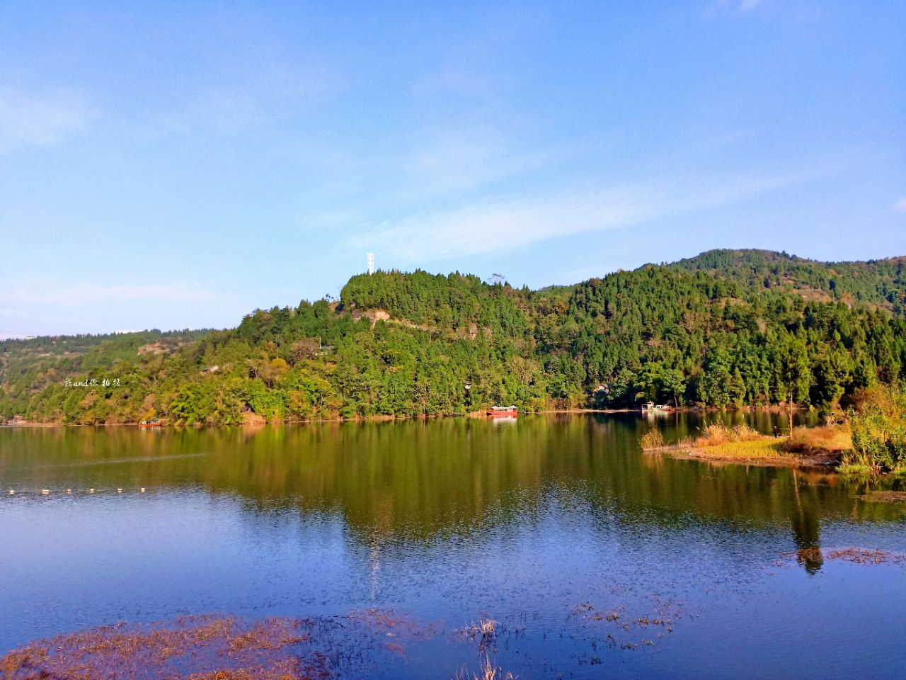 清水湖旅游度假区图片