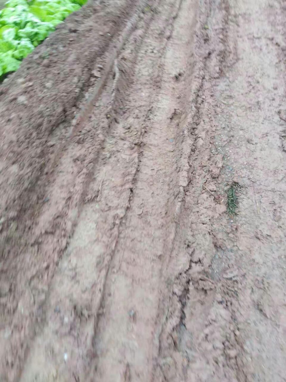 20191204_7079034_1575470730334.jpg