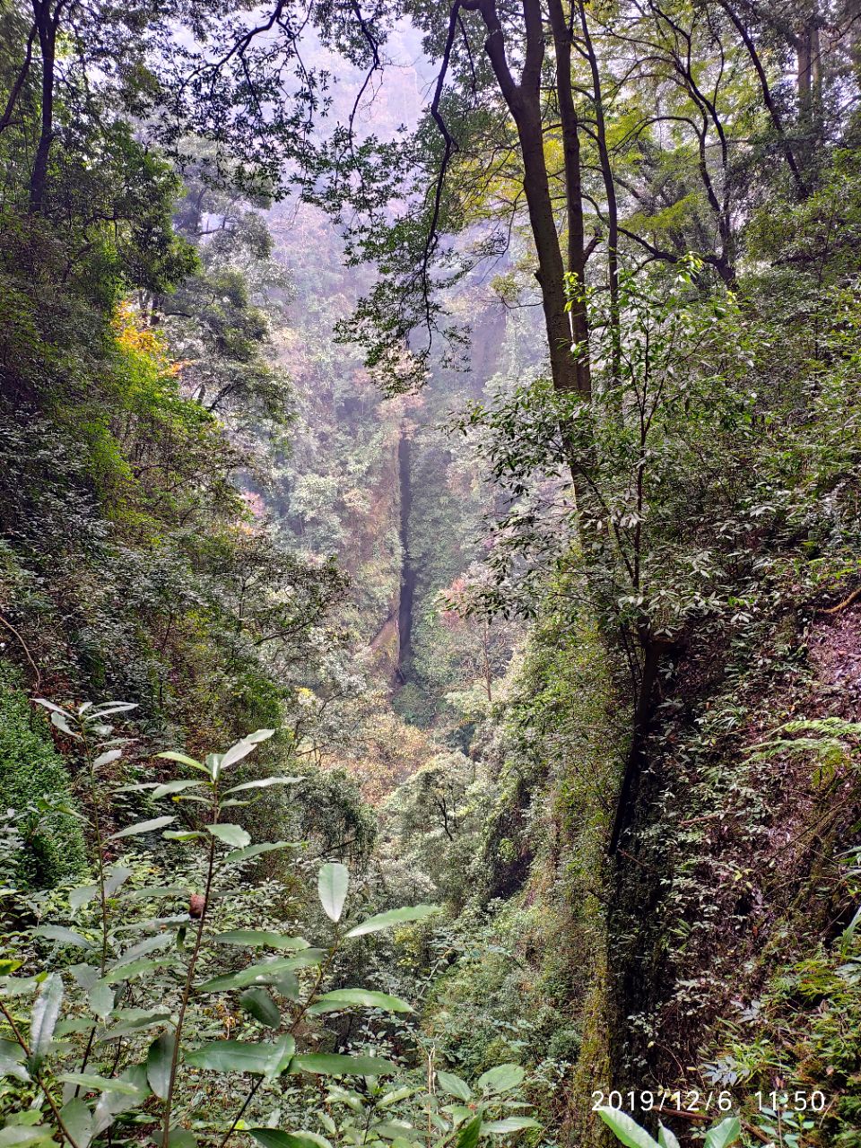 20191206_1727924_1575643365030.jpg