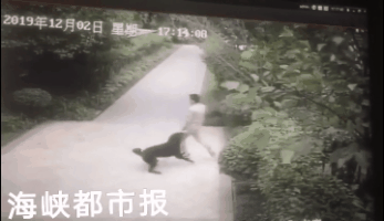1.gif
