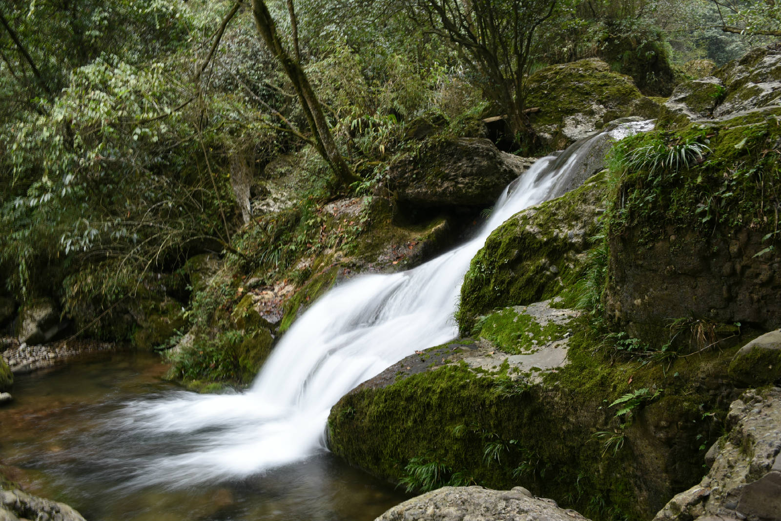 DSC_0743.JPG