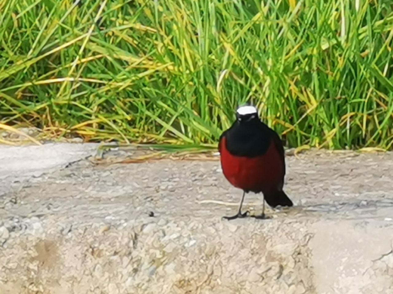 20191208_86222_1575781483022.jpg