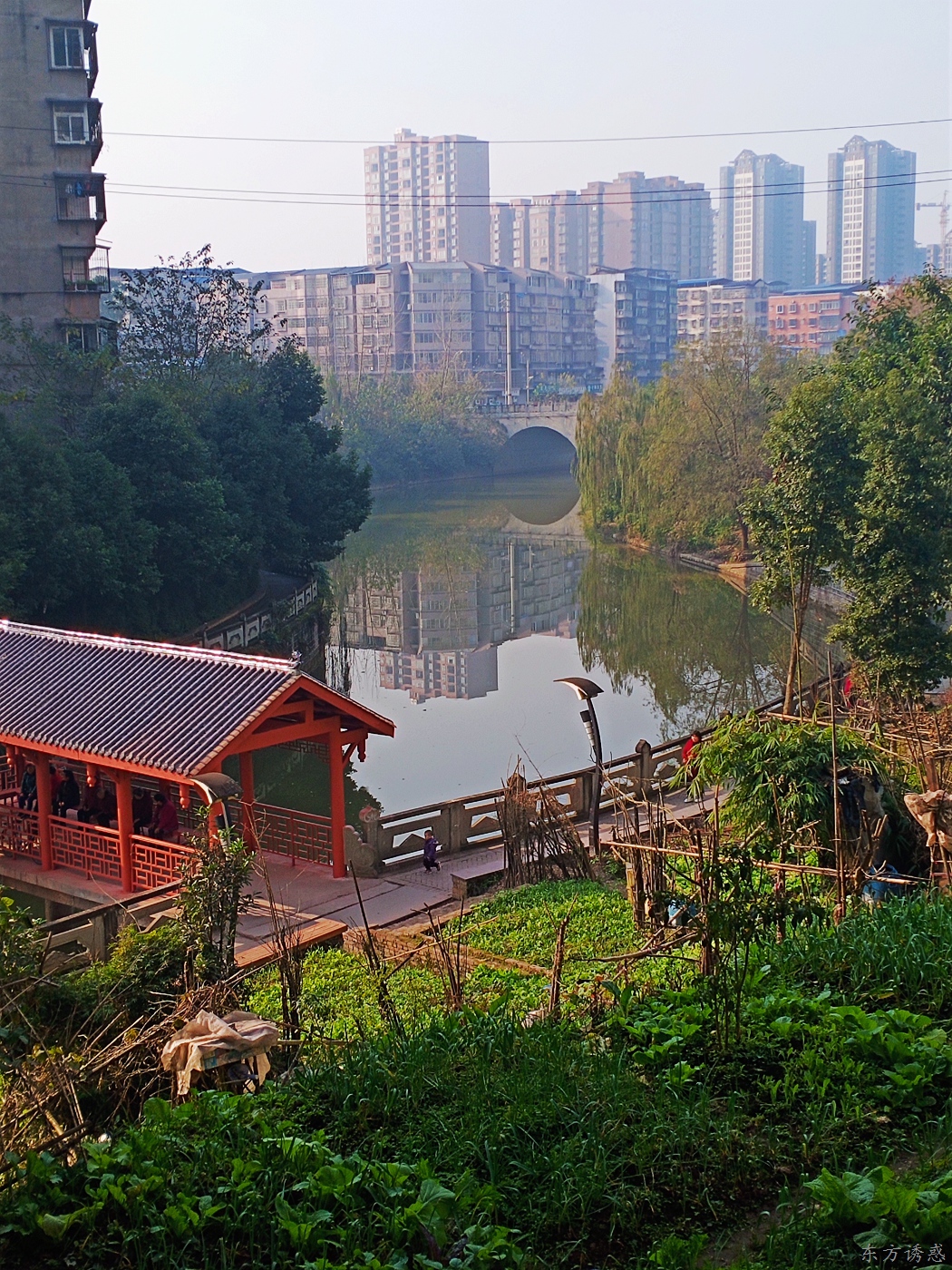 营山东门口老街图片