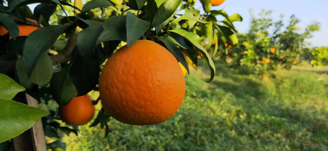 20191213_6082302_1576167472298.jpg