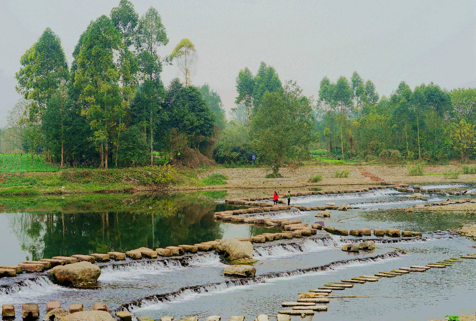 DSC06855_副本_副本.jpg