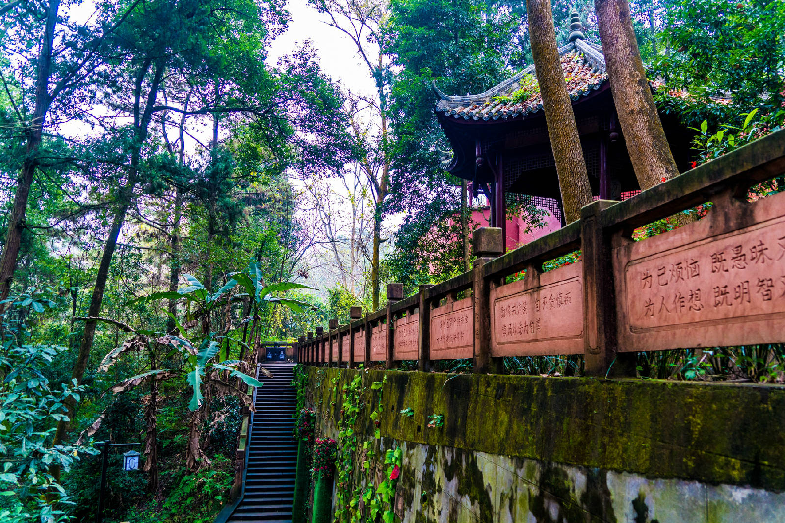 昆明白鹤山图片