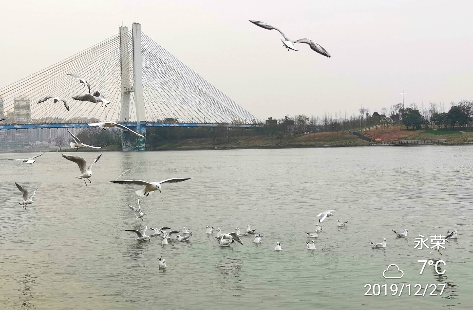 IMG_20191227_151254_看图