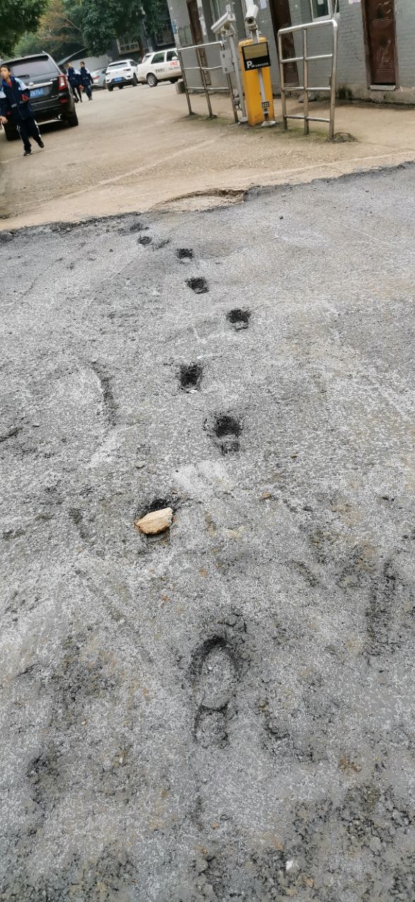 20191229_6082302_1577592788717.jpg